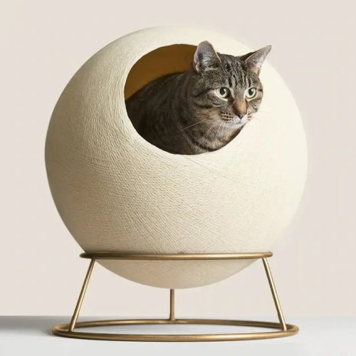 Stellar Cat Bed